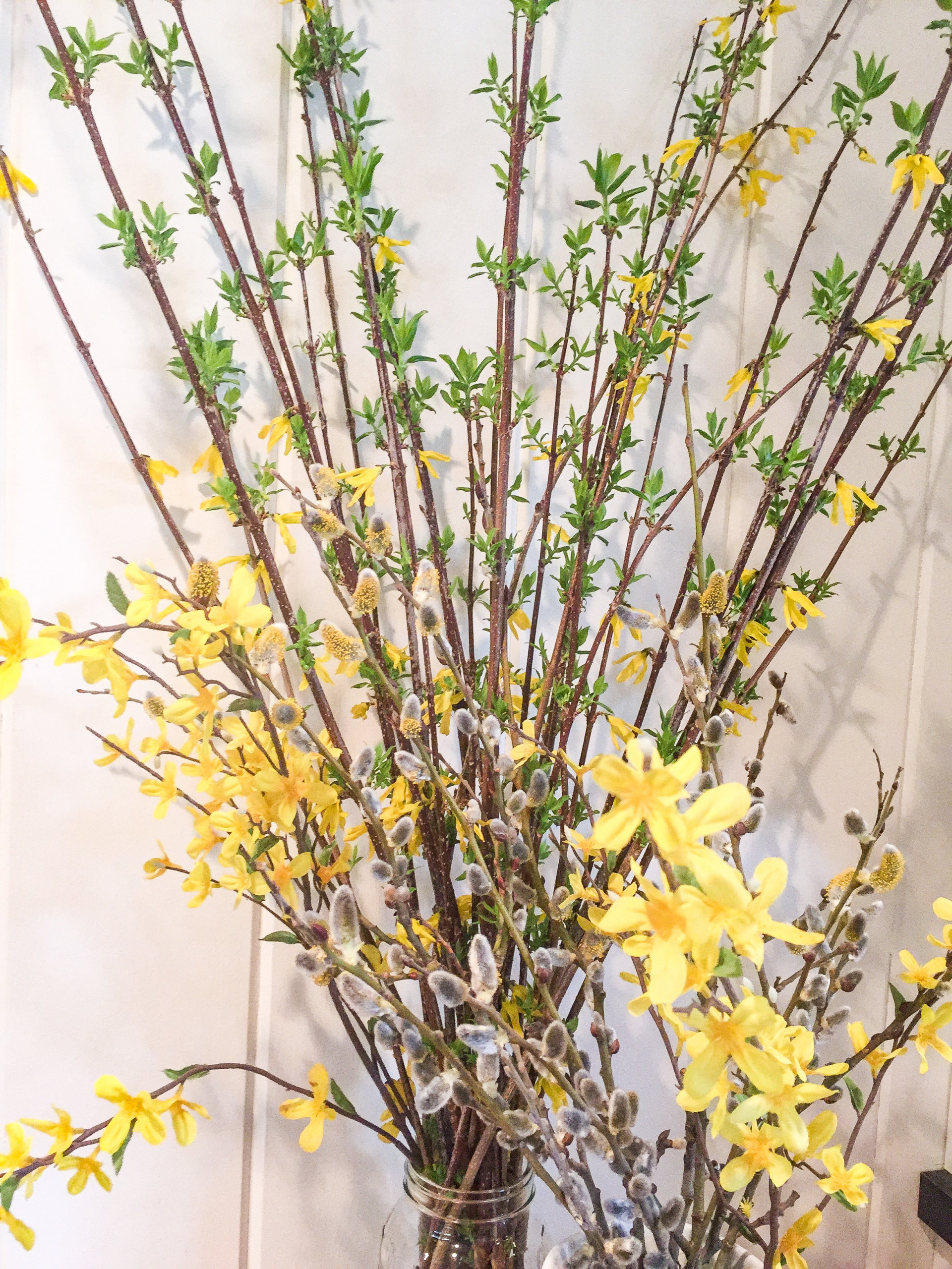 How to force forsythia and other blooming tree branches - This Cottage Life